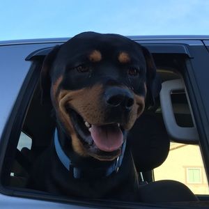 Meet your Posher, Somara